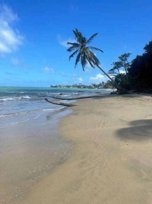 3Bedrm Beach Penthouse With Rooftop Terrace & Wifi Rio Grande Bagian luar foto