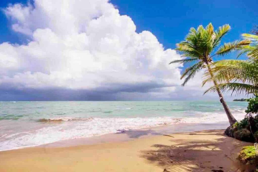 3Bedrm Beach Penthouse With Rooftop Terrace & Wifi Rio Grande Bagian luar foto